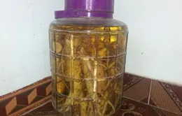 6 người ngộ độc sau khi uống rượu ngâm