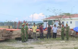 Làm rõ 7 đối tượng trong vụ vận chuyển gỗ lậu quy mô lớn tại Đăk Lăk