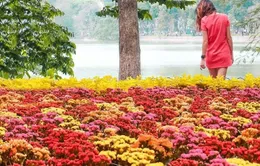 Cảnh đẹp thế giới mê ly qua ống kính của cặp đôi nam nữ Nam Phi