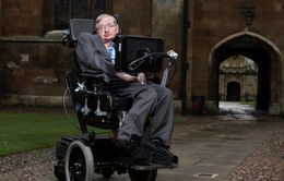 Stephen Hawking - nhà vật lý có bộ não thiên tài