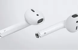 AirPods 2 sẽ tăng thời lượng pin, tích hợp chống ồn và chống nước