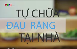 Mách bạn cách tự chữa đau răng tại nhà