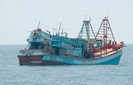 Bình Thuận ngăn chặn, truy bắt tàu giã cào hoạt động trái phép