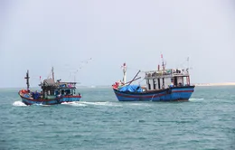 Các địa phương thắt chặt hoạt động khai thác hải sản trái phép
