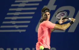 Giải quần vợt Acapulco 2018: Vượt qua A.Zverev, Juan Martin del Potro vào chung kết