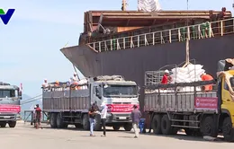 Khánh Hòa tiếp nhận gạo hỗ trợ từ Hàn Quốc