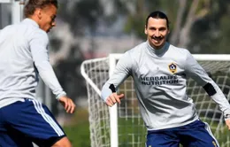 Ibrahimovic tươi như hoa ở buổi tập đầu tiên tại LA Galaxy