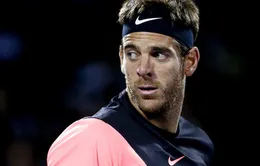 Miami mở rộng 2018: Del Potro dừng bước tại bán kết