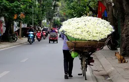 Ngày 5/3, nắng ngập tràn trên toàn miền Trung