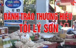 Đánh tráo thương hiệu tỏi Lý Sơn