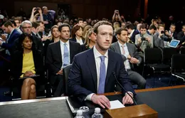 CEO Facebook Mark Zuckerberg khẳng định không từ chức