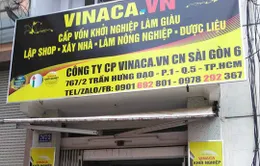 TP.HCM: Phát hiện nhiều sản phẩm nhãn hiệu Vinaca