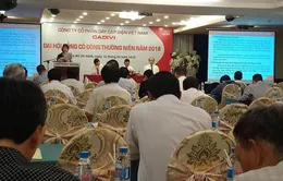 Cổ phiếu Công ty CP Dây Cáp Điện Việt Nam hủy niêm yết