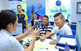 Nhà mạng có thể gia hạn đăng ký sau ngày 24/4