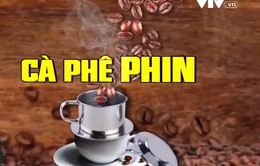 Từ vụ cà phê "pin" đến dấu hỏi về chất lượng cà phê bột trên thị trường?