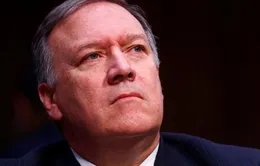 Việt Nam gửi điện mừng tân Ngoại trưởng Hoa Kỳ Michael Pompeo