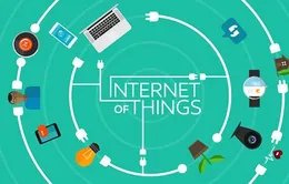 Việt Nam là 1 trong 3 nước bị tấn công IoT nhiều nhất