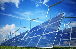 Khởi công dự án điện mặt trời và điện gió 100MW tại Bình Định