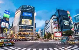 Những "sóng ngầm" trong ngành taxi Nhật Bản