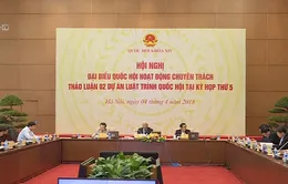 Thảo luận Luật đơn vị hành chính kinh tế đặc biệt - Cân nhắc giám sát quyền lực