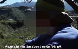 Công ty môi giới xuất khẩu lao động phải minh bạch thông tin cho người lao động