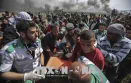 Một nhà báo Palestine thiệt mạng trong đụng độ tại Dải Gaza