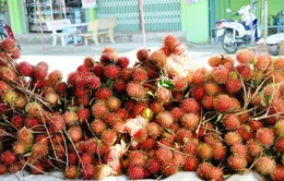 New Zealand nhập khẩu trái chôm chôm của Việt Nam