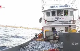 Phát triển nghiệp đoàn nghề cá, đảm bảo an ninh trên biển
