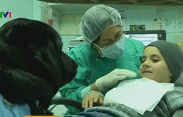 Chó hỗ trợ trẻ tự kỷ đi khám răng
