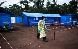 Congo xác nhận trường hợp tử vong đầu tiên do Ebola