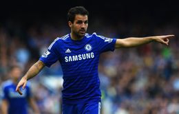 Chelsea sa sút, Fabregas thẳng thắn chỉ trích đồng đội