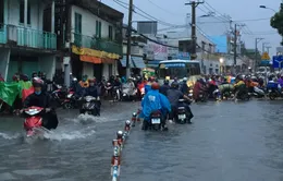 TP.HCM kêu gọi đầu tư 16 dự án chống ngập và xử lý nước thải