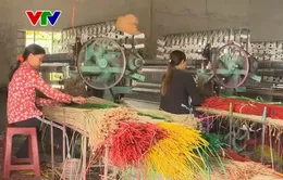 Phú Yên thiếu nguyên liệu sản xuất chiếu cói