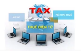 Ứng dụng quản lý thuế tập trung góp phần hiện đại hóa ngành thuế