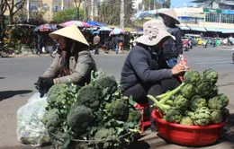 Rau Đà Lạt rớt giá