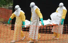 Congo ghi nhận 26 ca tử vong do Ebola, cảnh báo mức nguy hiểm rất cao