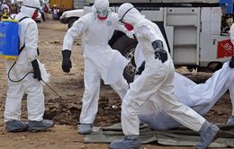 WHO cảnh báo dịch bệnh Ebola tại Congo có nguy cơ lan rộng