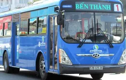 TP.HCM sẽ có thêm 17 tuyến xe bus điểm