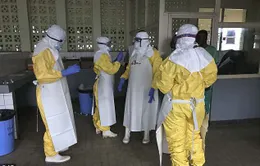 Virus Ebola tấn công vào cơ thể như thế nào?