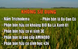 Đăk Nông khuyến cáo không sử dụng 6 sản phẩm phân bón kém chất lượng