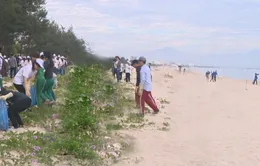 Gần 500 đoàn viên, thanh niên tham gia Chiến dịch Biển Việt Nam xanh