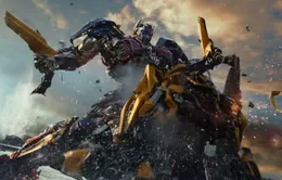 Transformers 6 bị xóa lịch chiếu trong năm 2019