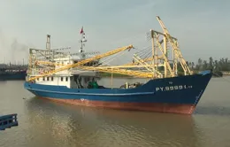 Phú Yên vận động ngư dân vươn khơi bám biển
