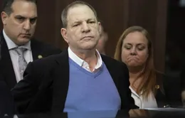 Harvey Weinstein bị truy tố tội hiếp dâm, cưỡng bức tình dục