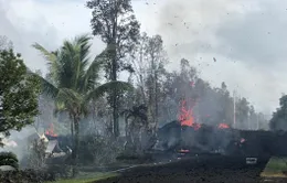 Động đất mạnh 6,9 độ richter gây rung chuyển Hawaii, Mỹ