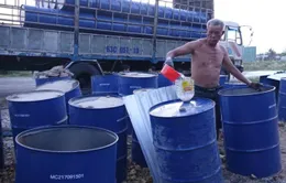 Hàng trăm thùng phuy dầu thải bị xử lý sai quy định ở Cần Thơ