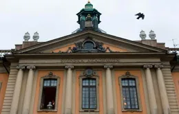 Hoãn trao giải Nobel Văn học 2018 vì bê bối tình dục