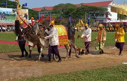 Lễ Hạ điền trước mùa vụ sản xuất tại Campuchia