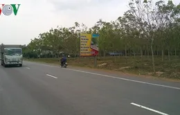 Người dân mong chờ phương án đền bù dự án sân bay Long Thành