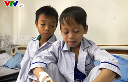 Hơn 12 triệu người Việt mang gen bệnh Thalassemia